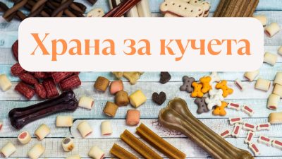 Здравословна и качествена храна за кучета